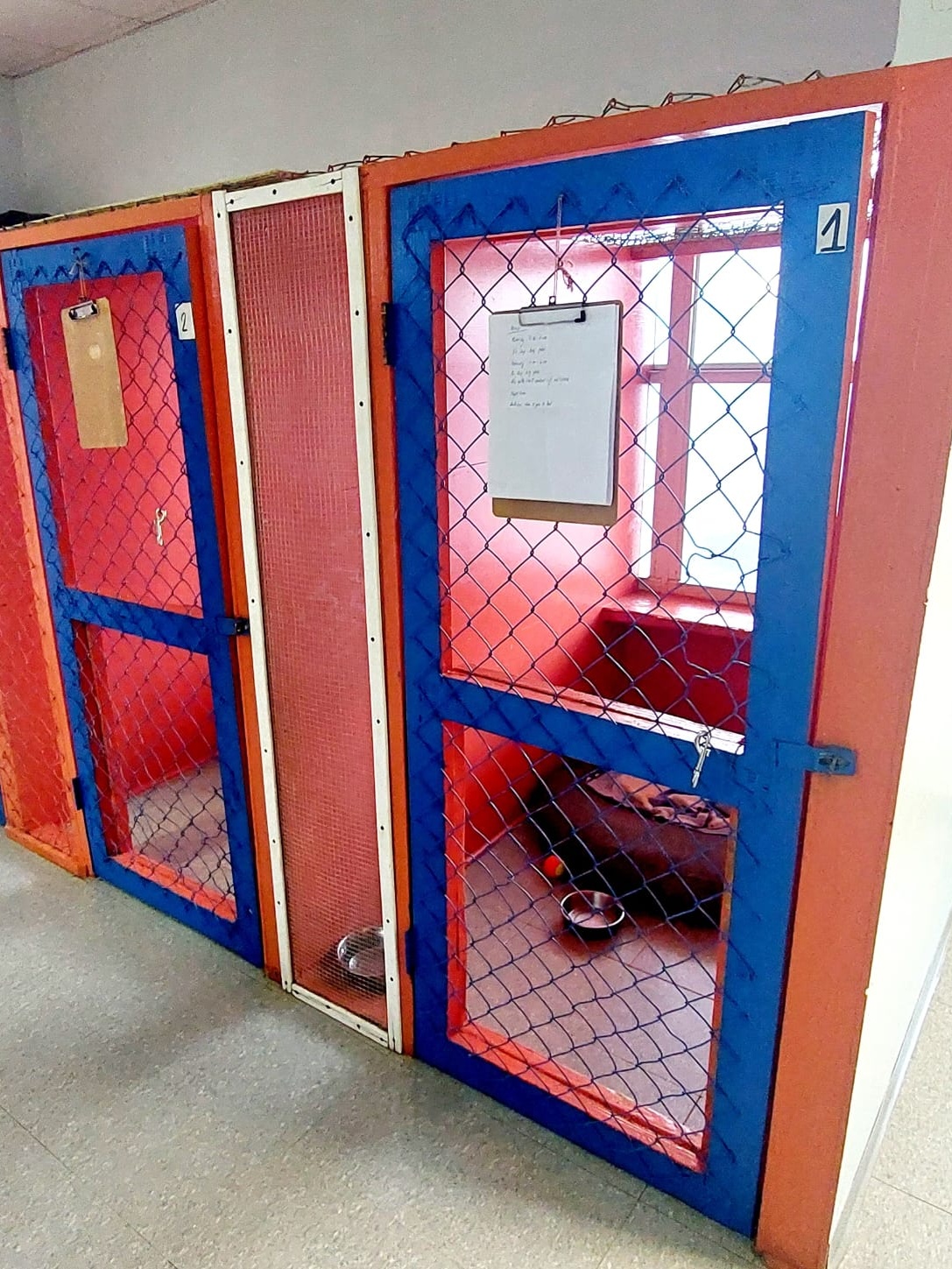 Boarding Image 4