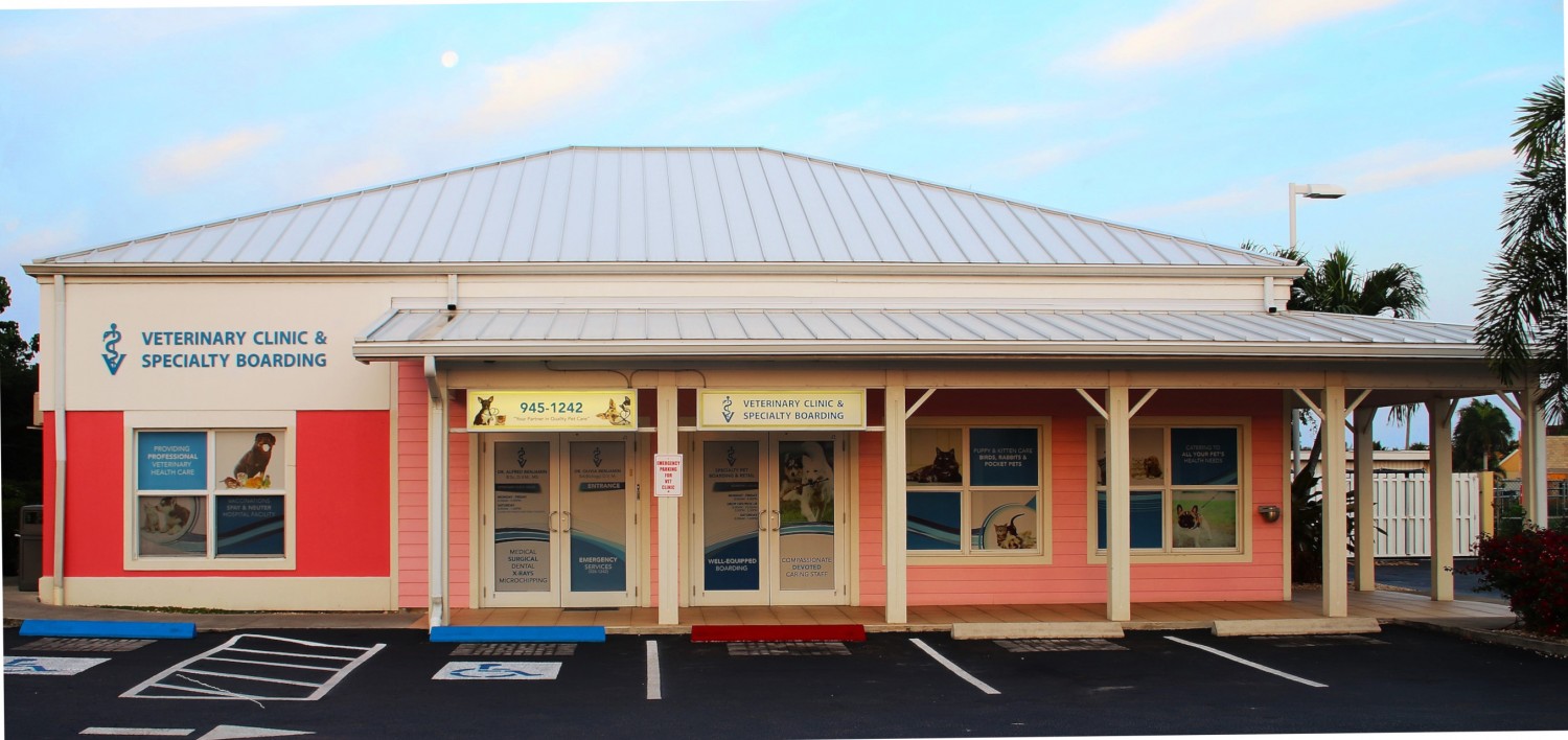 Picture of Cayman Islands Veterinary Clinic & Specialty Boarding