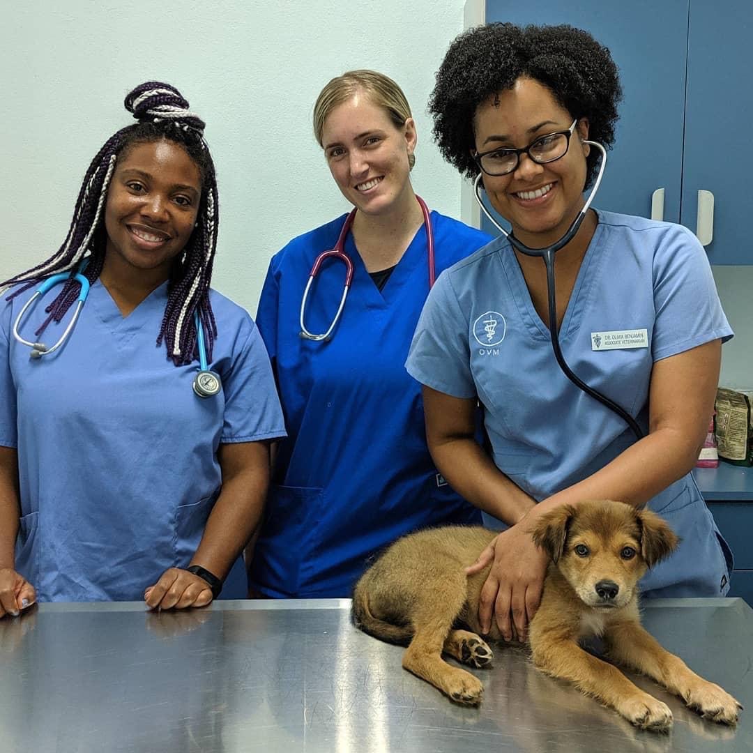 Staff with Puppy