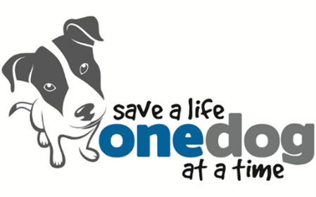 Save a life one dog at a time